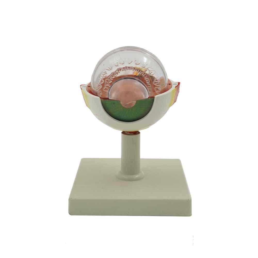 مولاژ چشم10برابر