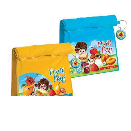 کیف تغذیه( ظرف غذا ) 6050آریا