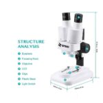 میکروسکوپ زیتازی دانش آموزی دوچشمی مدلBioLoop  x20 - تصویر 3