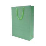 ساک دستی(کادویی)گلاسه سایز3هیرمند پیپر24*33 - تصویر 5
