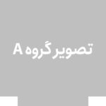 تی شرت 3xl - تصویر 2