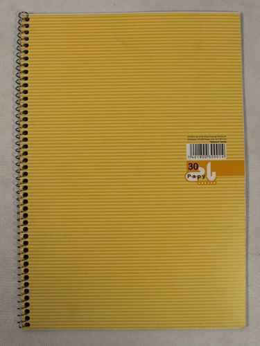 pic-1800837-d475e1d2-95ae-451f-92a6-53bcb53eefcb.jpg نقاشی 30 برگ رحلی فنری پاپی (تک جلدی) - تصویر 1
